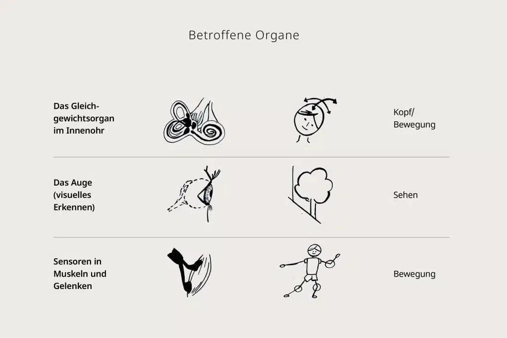 Betroffene Organe - Schwindel